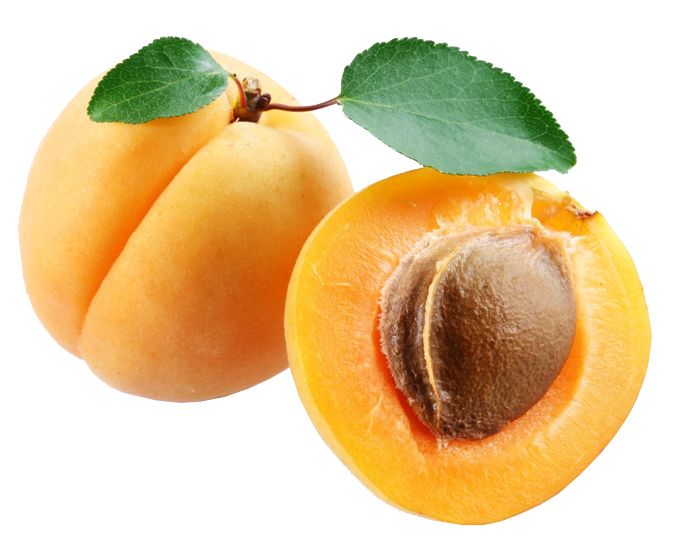 Apricot PNG    图片编号:12640