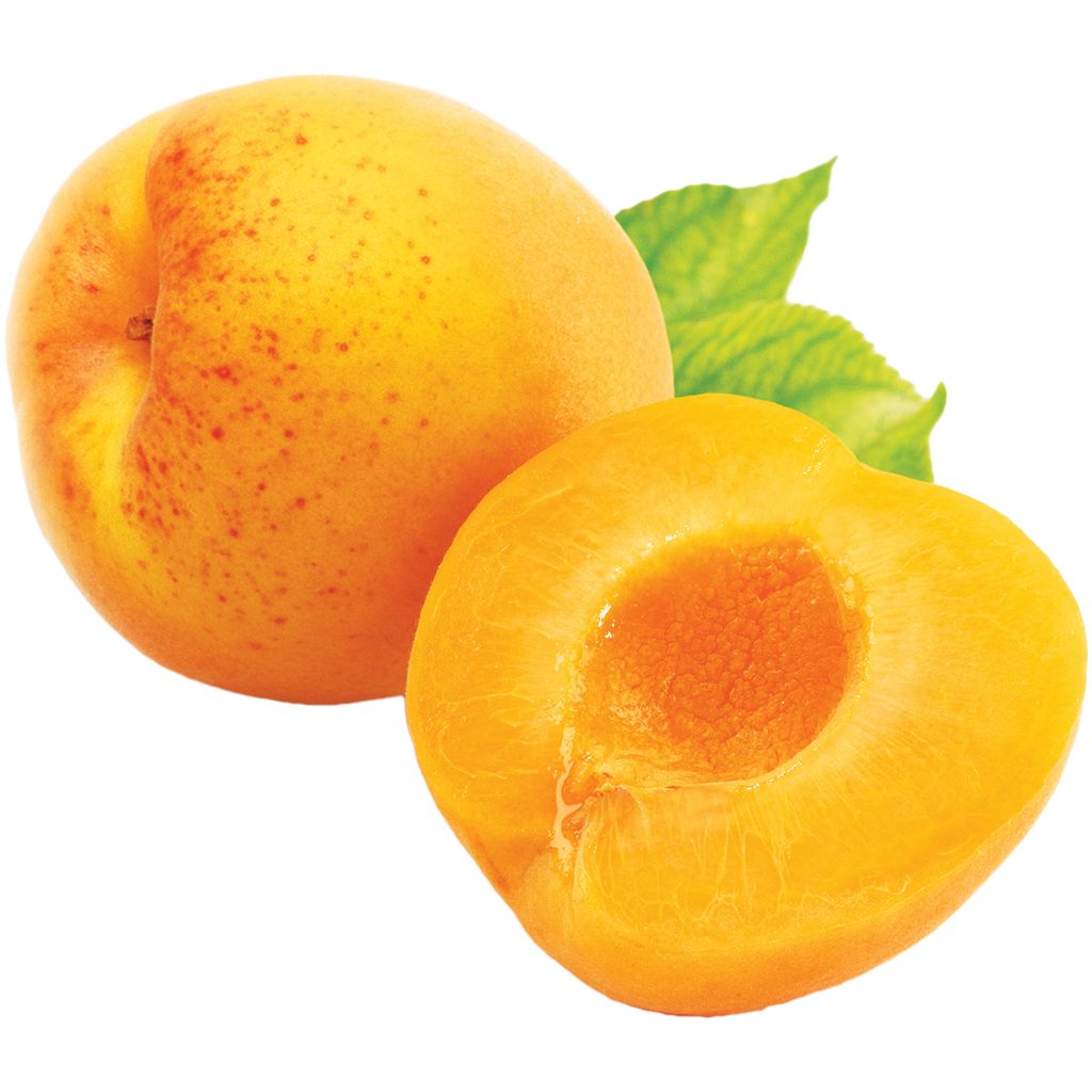 Apricot PNG    图片编号:12641