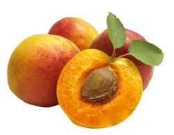 Apricots PNG transparent image, apricot PNG    图片编号:12643