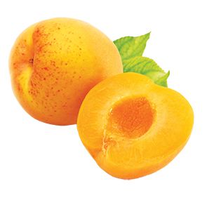 Apricot PNG    图片编号:12646