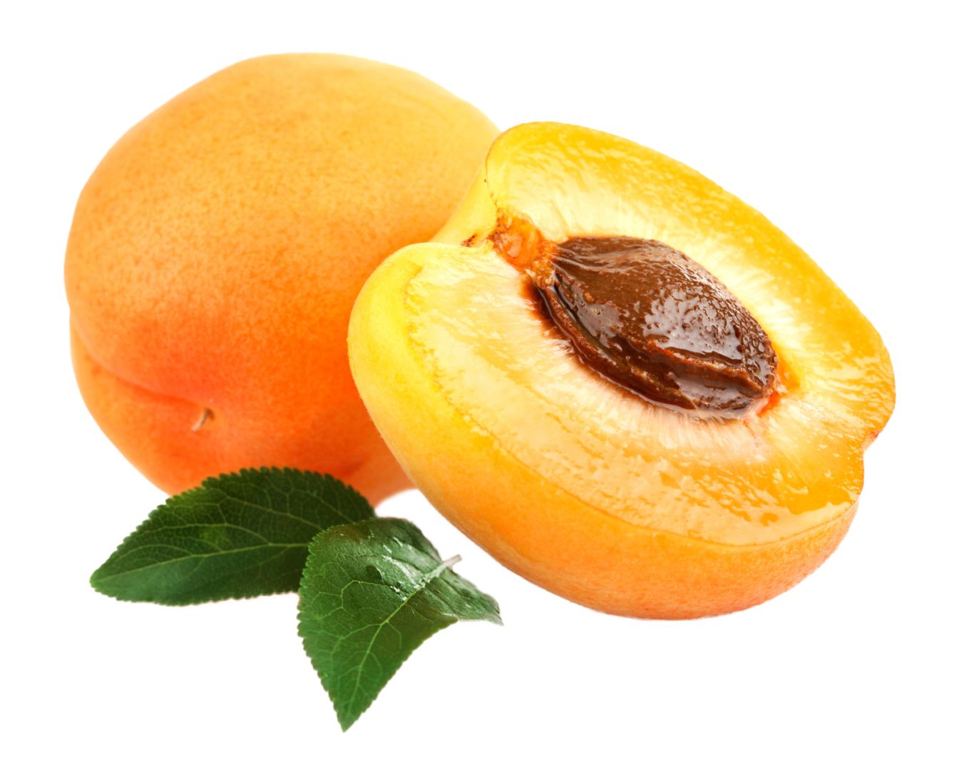 Apricot PNG    图片编号:12647