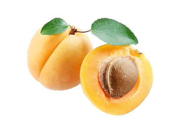 Apricot PNG    图片编号:12650