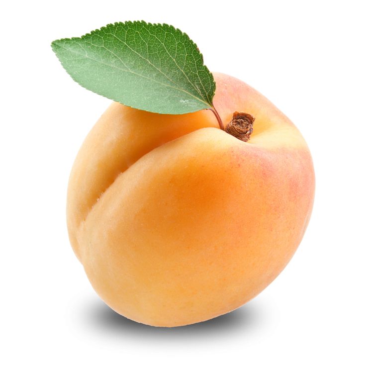 Apricot PNG    图片编号:12652