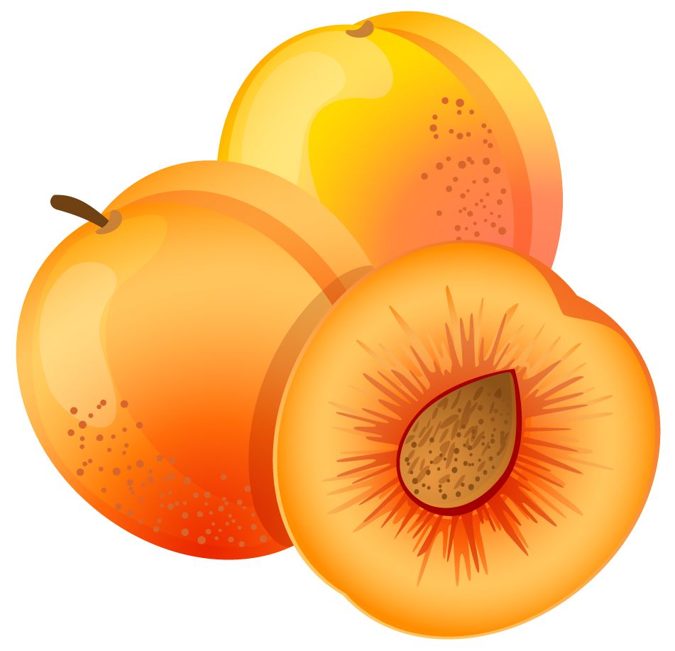 Apricots PNG    图片编号:12657