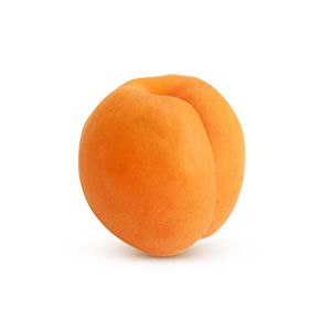 Apricot PNG image    图片编号:12659