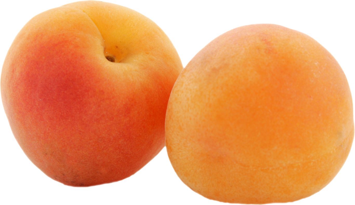two apricots PNG    图片编号:12660