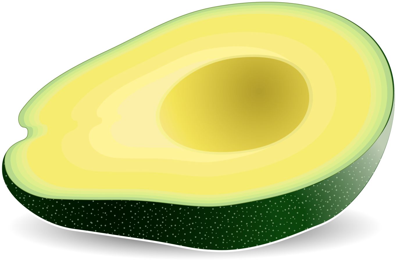 Avocado PNG    图片编号:15477