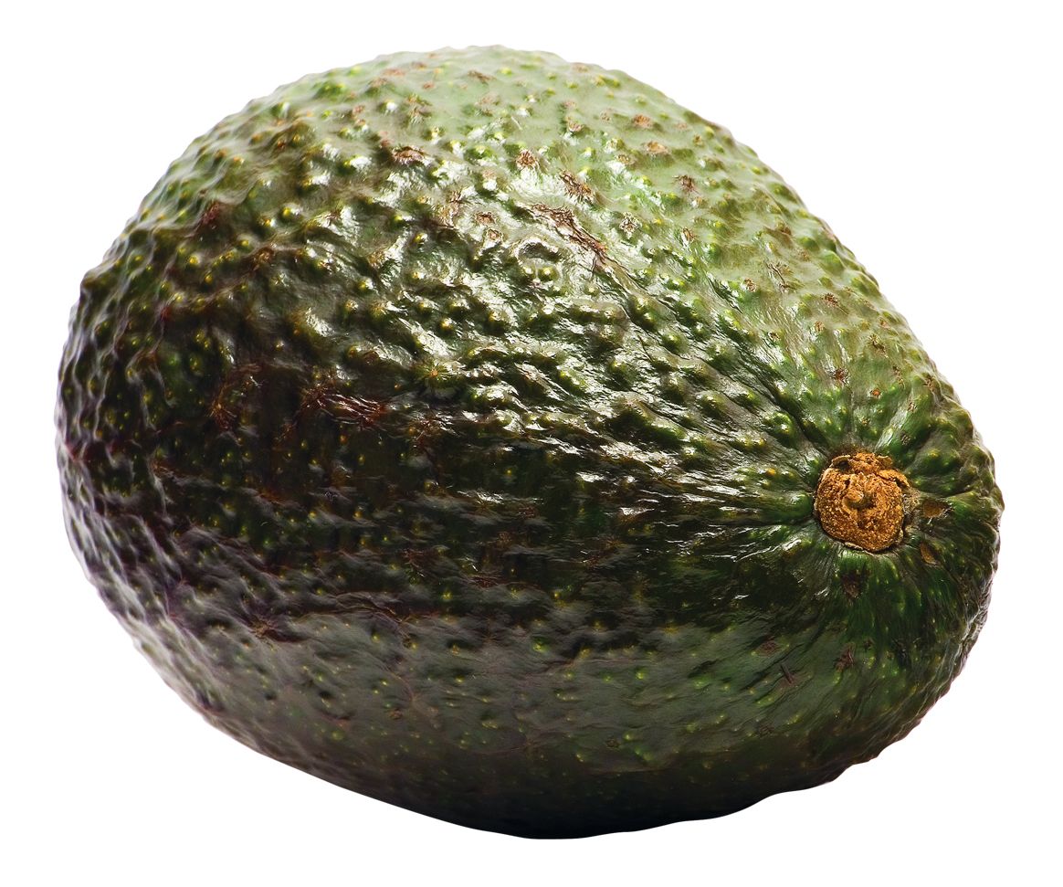 Avocado PNG    图片编号:15483