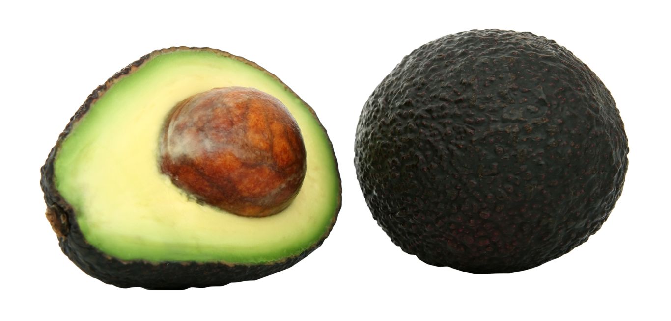 Avocados picture PNG    图片编号:15487
