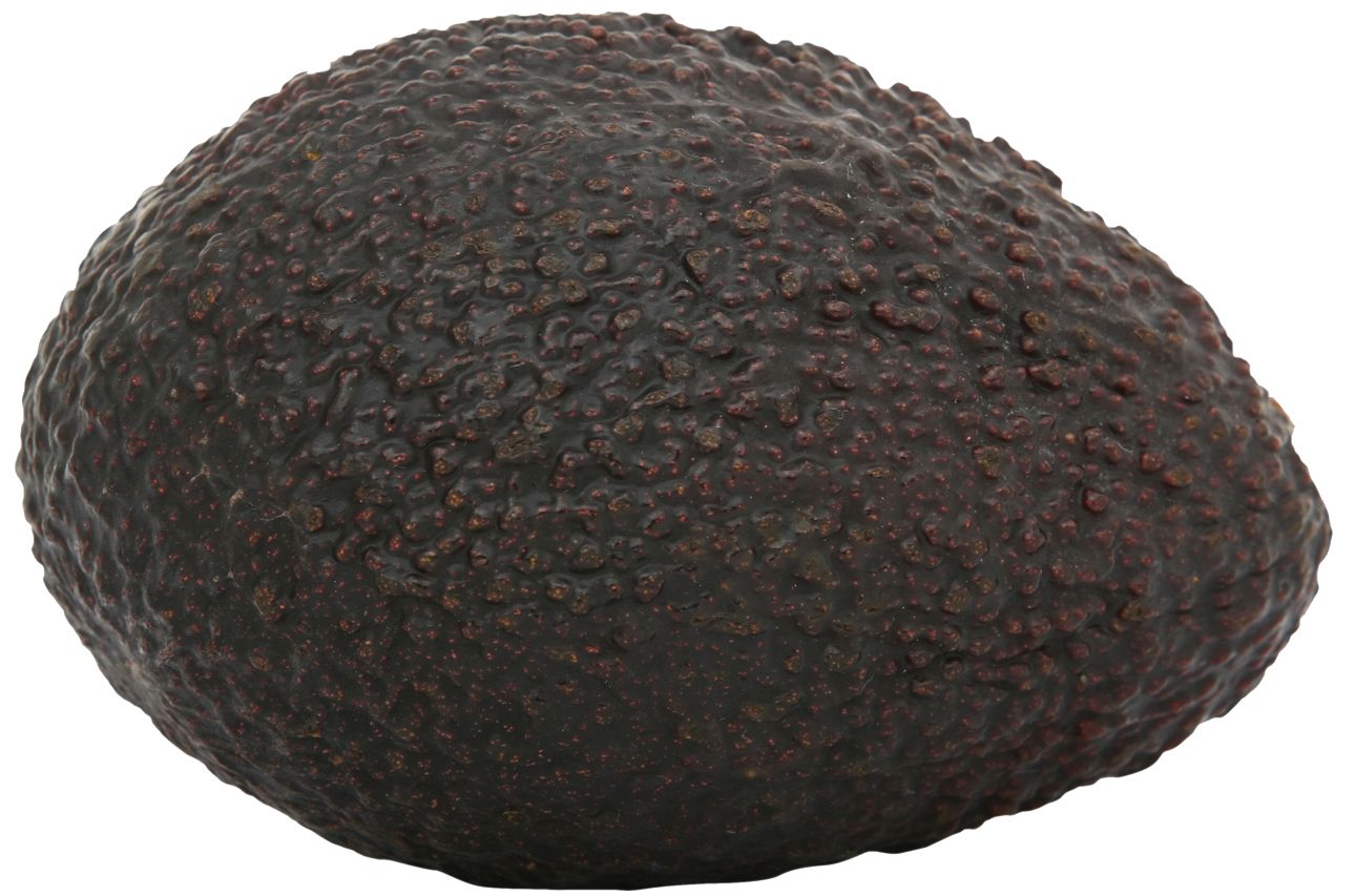 Avocado PNG    图片编号:15495