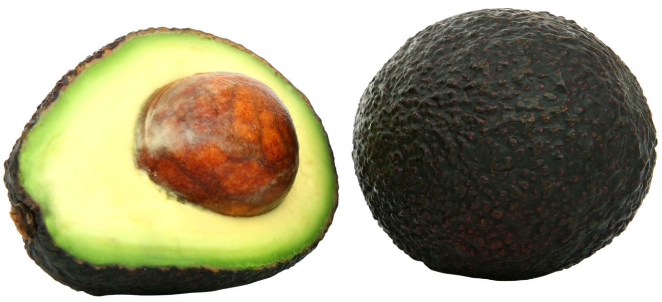 round avocados PNG    图片编号:15496