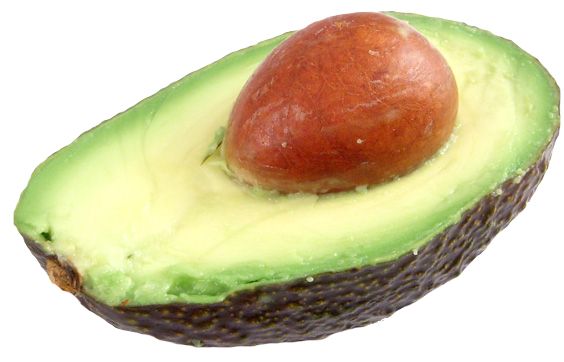 Avocado PNG    图片编号:15500