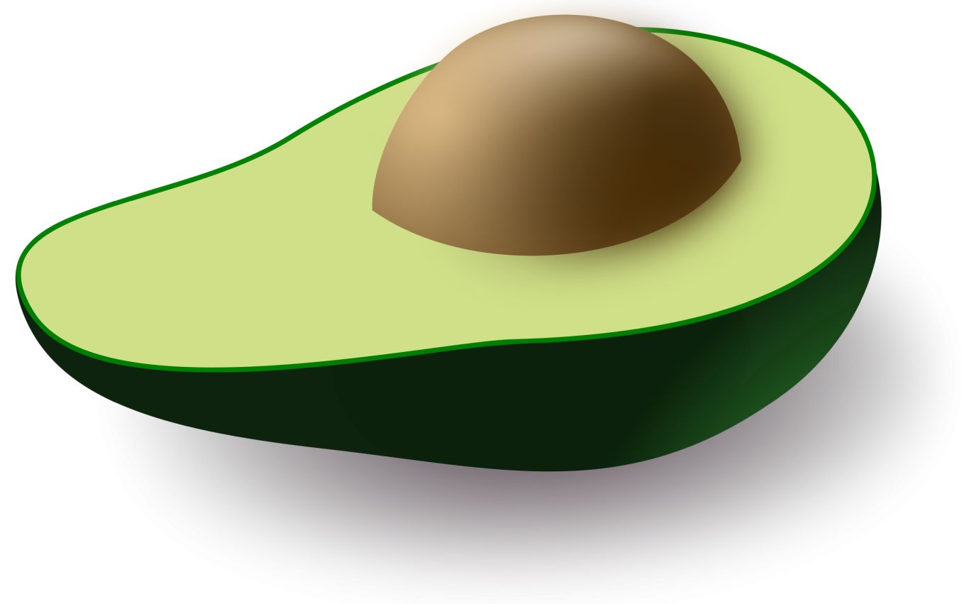 Avocado image PNG    图片编号:15512