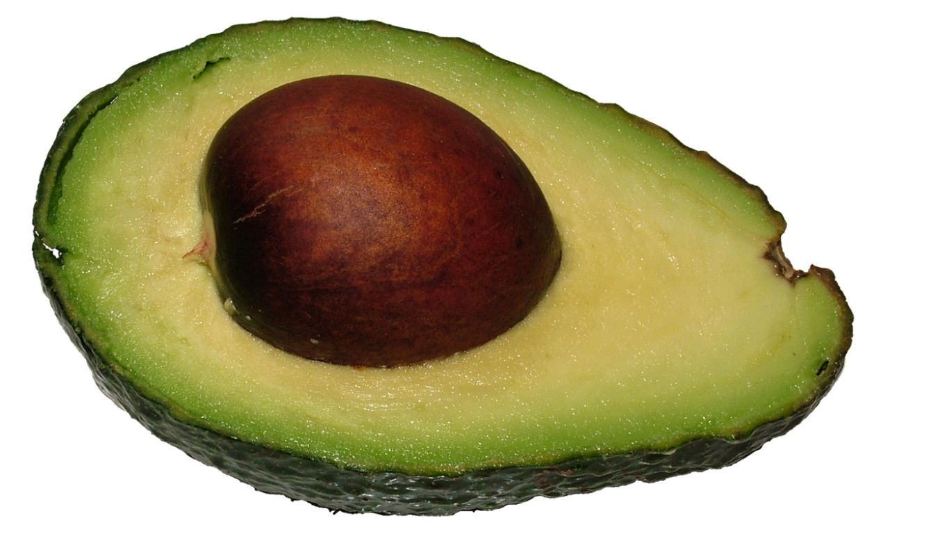 ready to eat avocado PNG    图片编号:15514