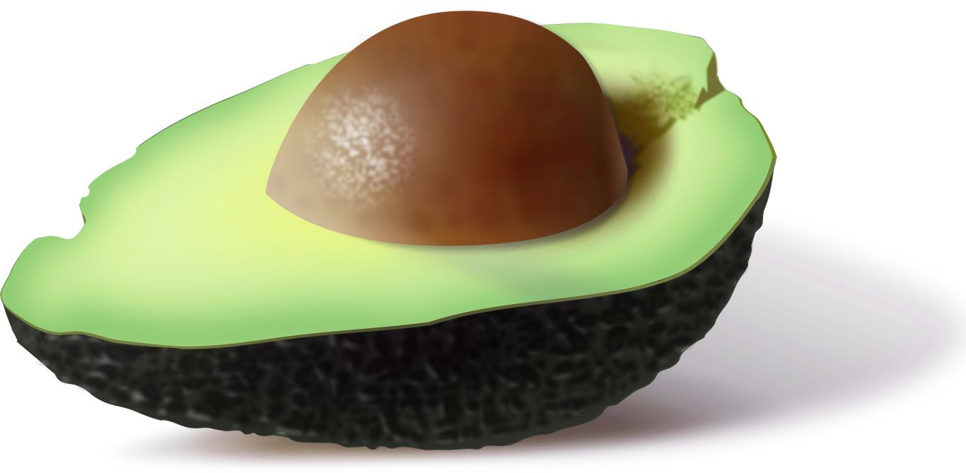 Cutted avocado PNG    图片编号:15517