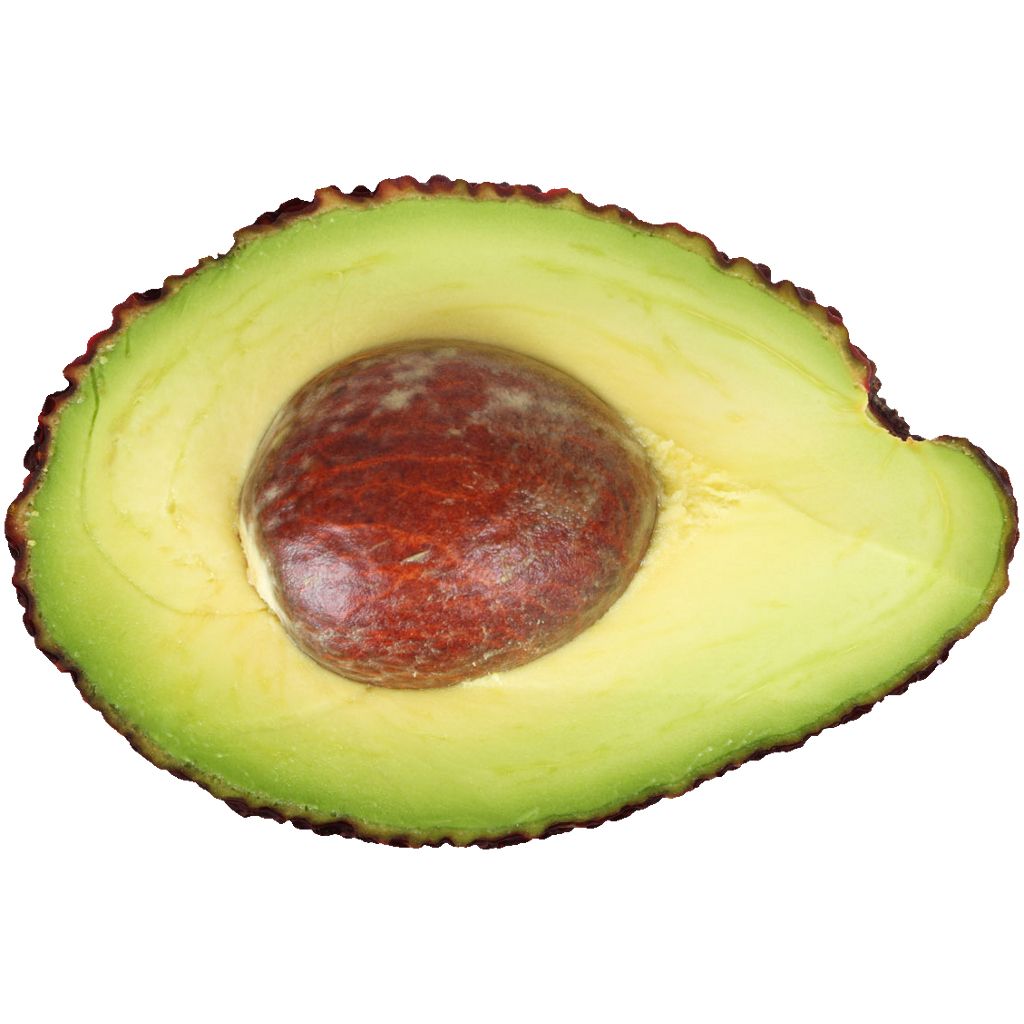 Cutted avocado PNG    图片编号:15518