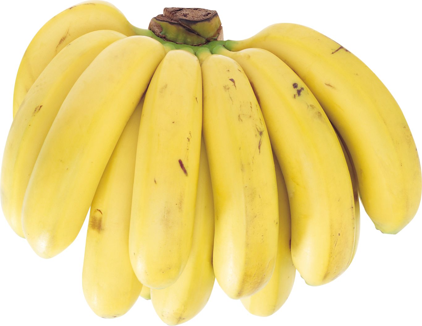 Several bananas PNG image    图片编号:104259
