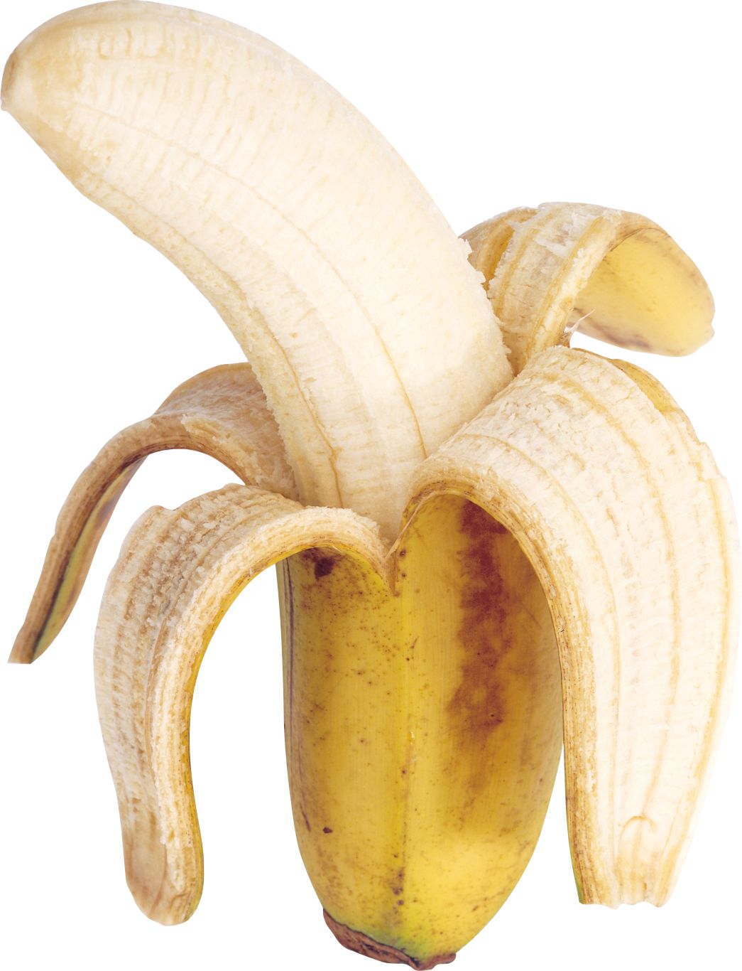 Peeled banana PNG    图片编号:104260