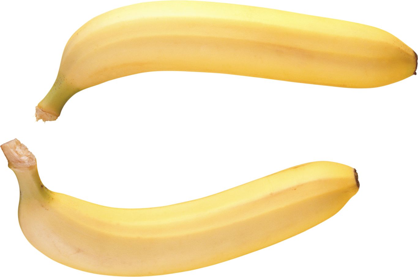 two bananas PNG    图片编号:104264