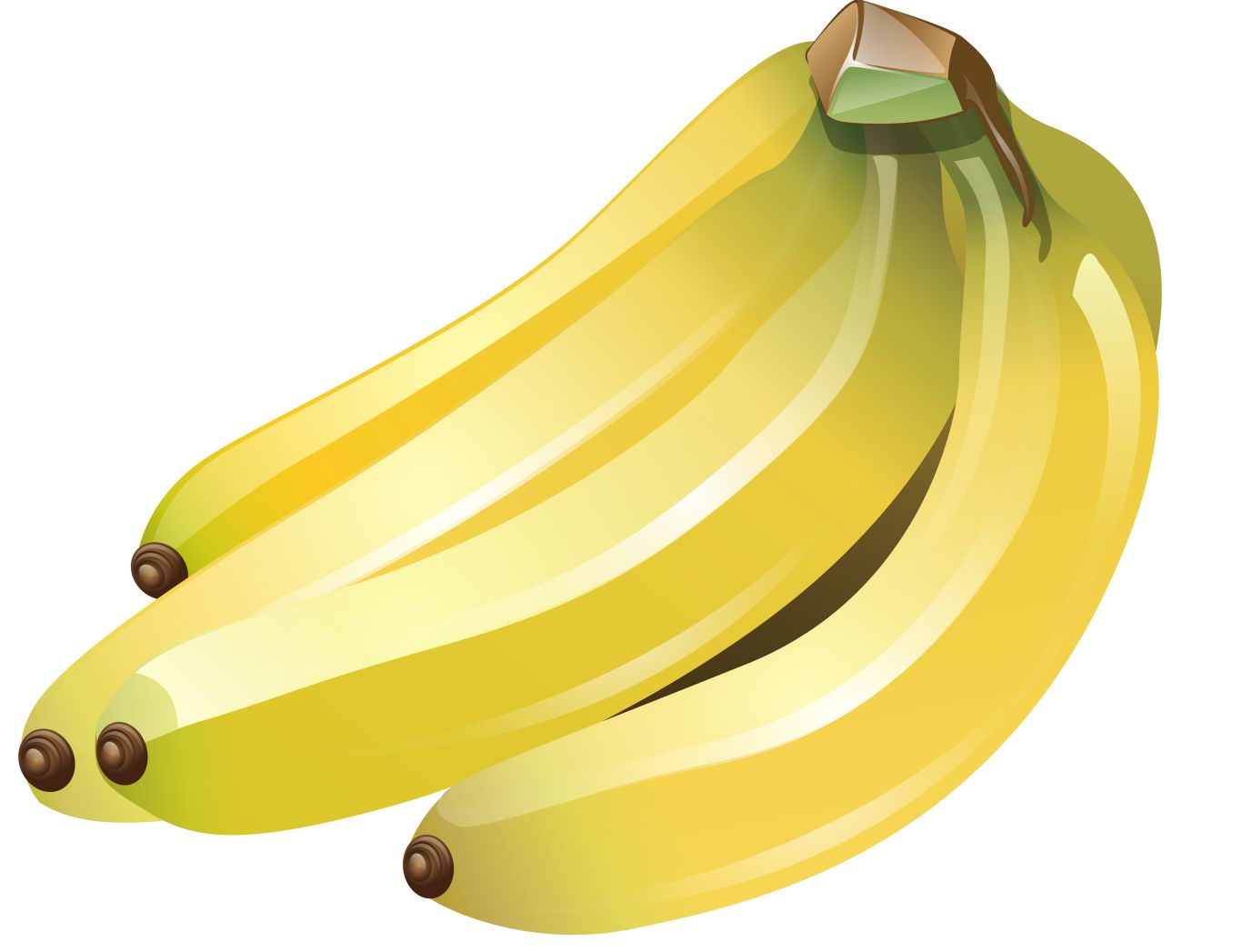 pack of bananas PNG picture    图片编号:104271