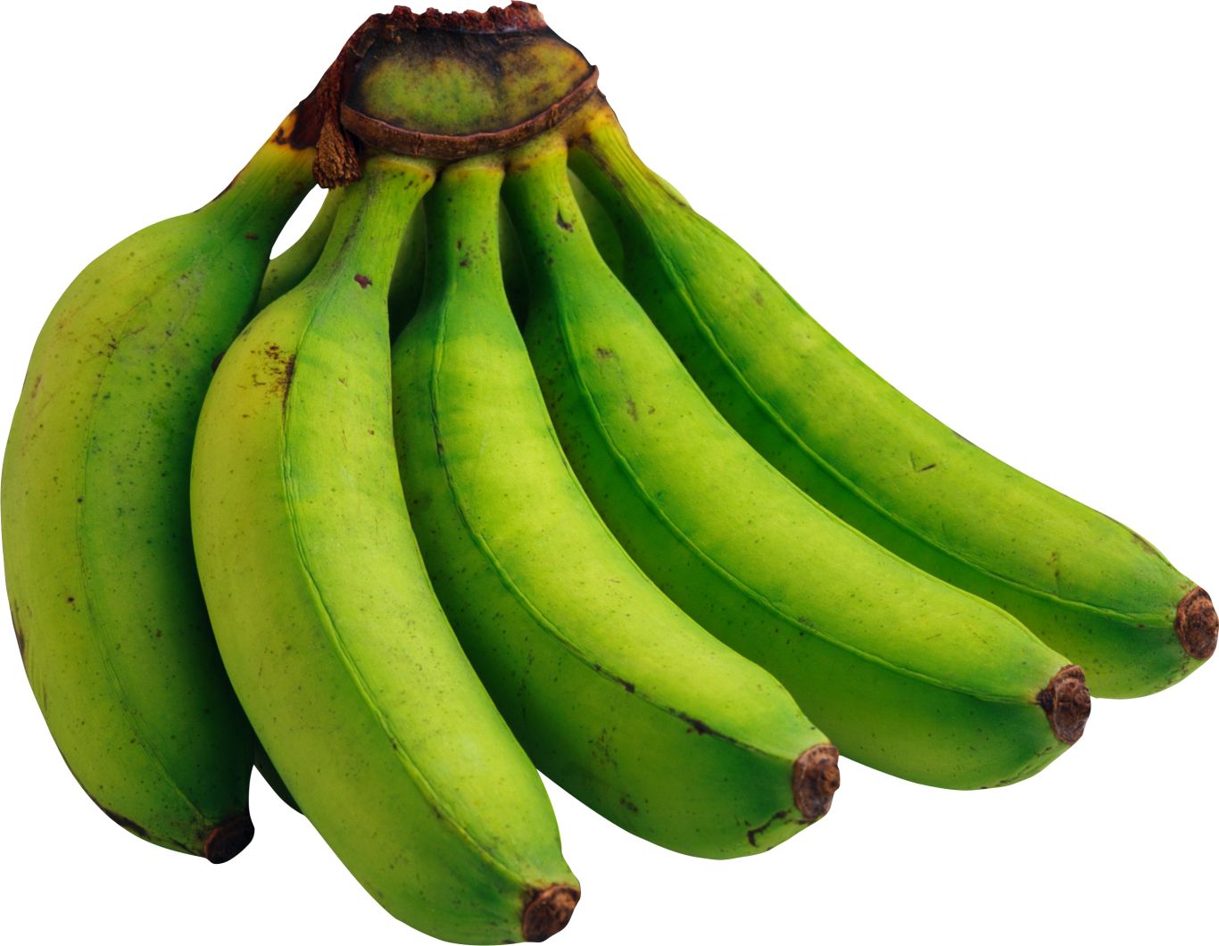 green bananas PNG image, free picture    图片编号:851