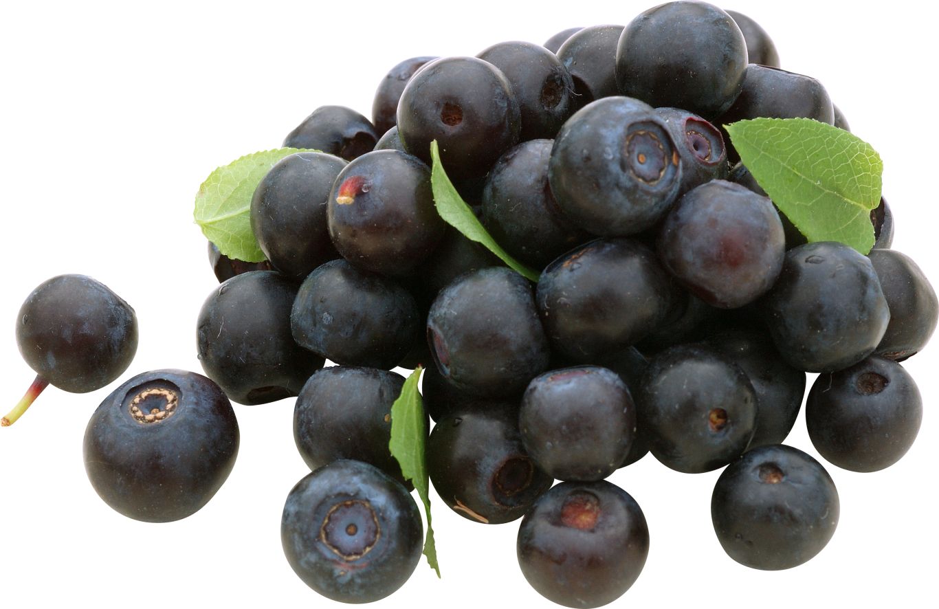 Blueberries PNG    图片编号:26682