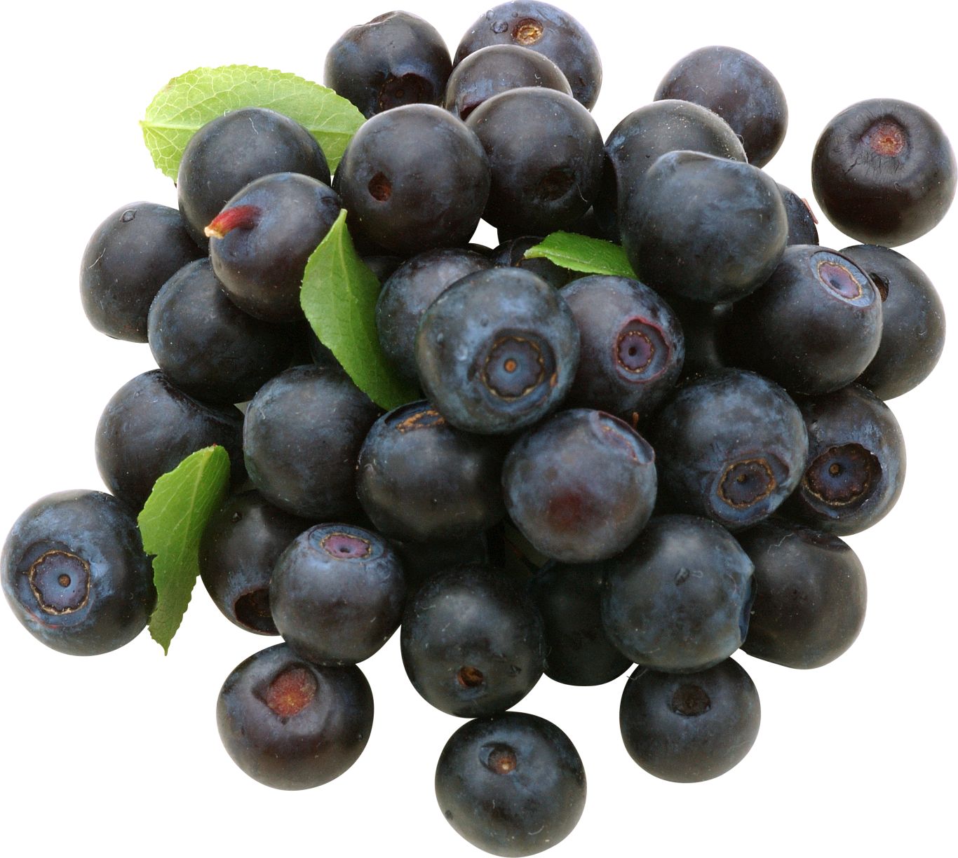 Blueberries PNG    图片编号:26683