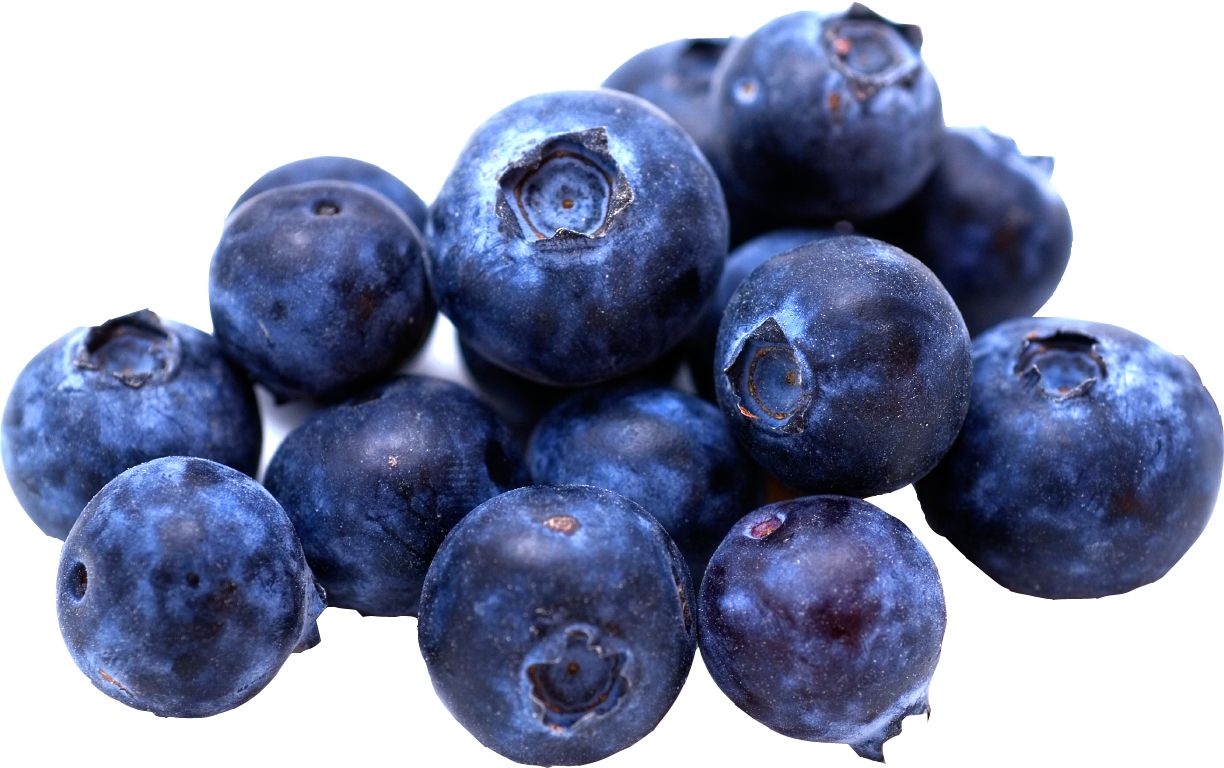 Blueberries PNG    图片编号:26688