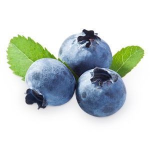 Blueberries PNG    图片编号:26691