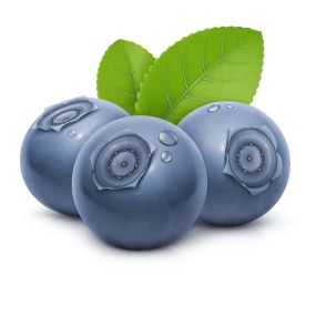 Blueberries PNG    图片编号:26692