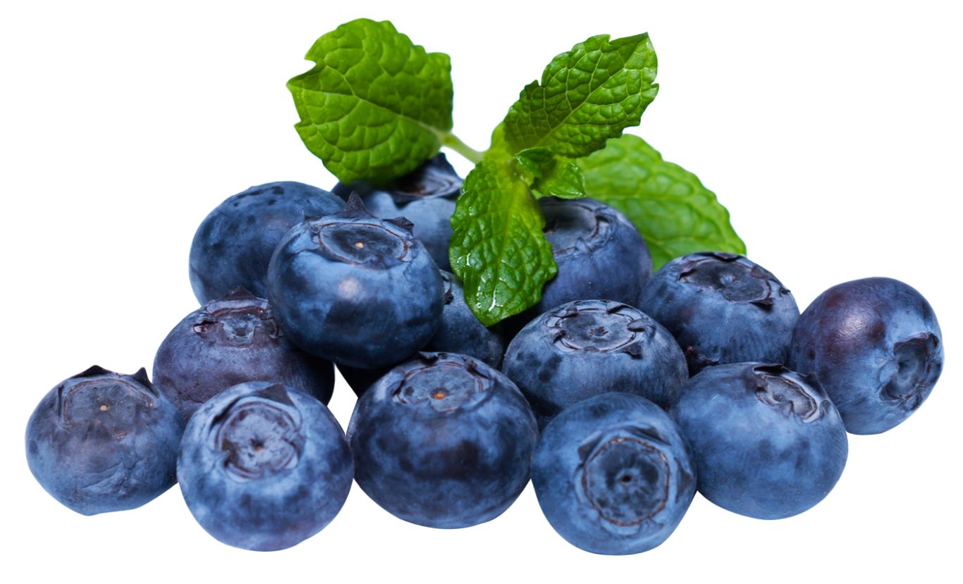 Blueberries PNG    图片编号:26693