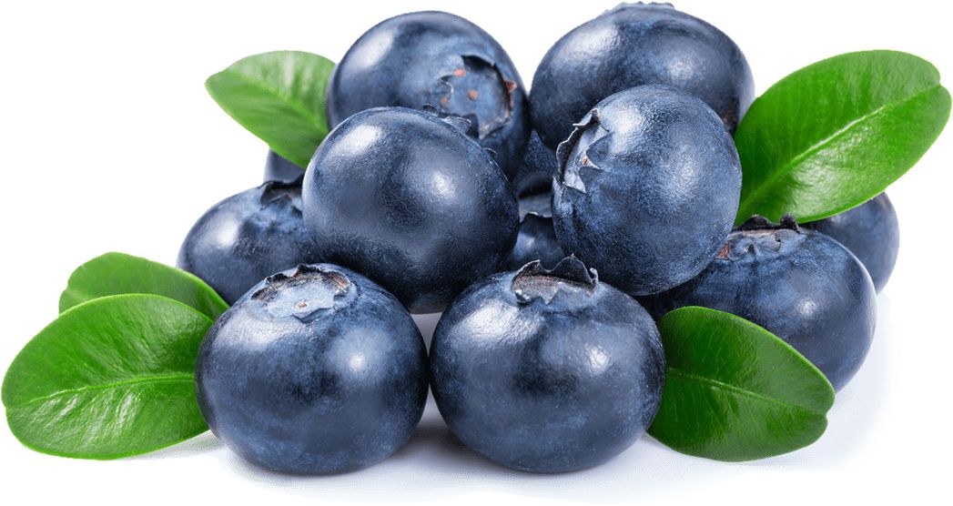 Blueberries PNG    图片编号:26694