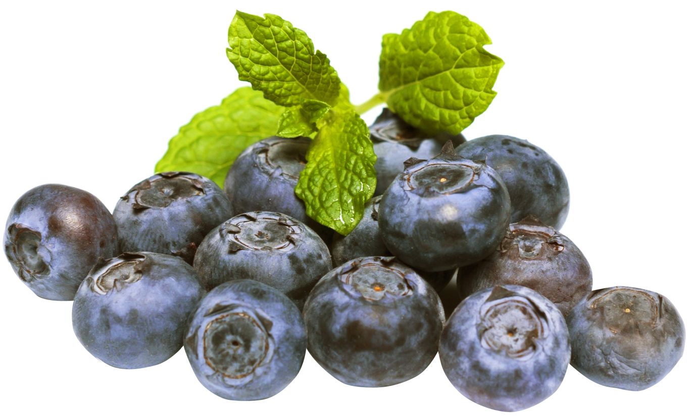 Blueberries PNG    图片编号:26696