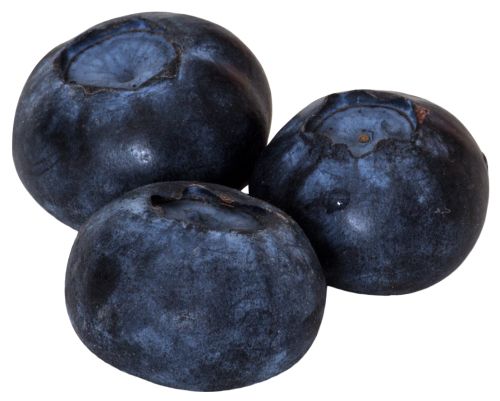 Blueberries PNG    图片编号:26697