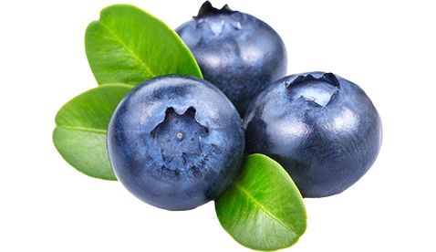 Blueberries PNG    图片编号:26702