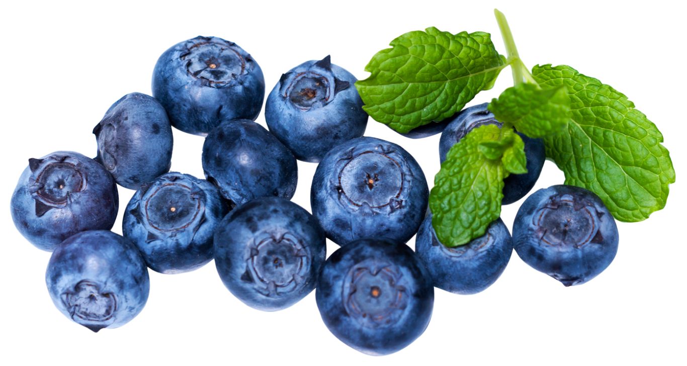Blueberries PNG    图片编号:26705