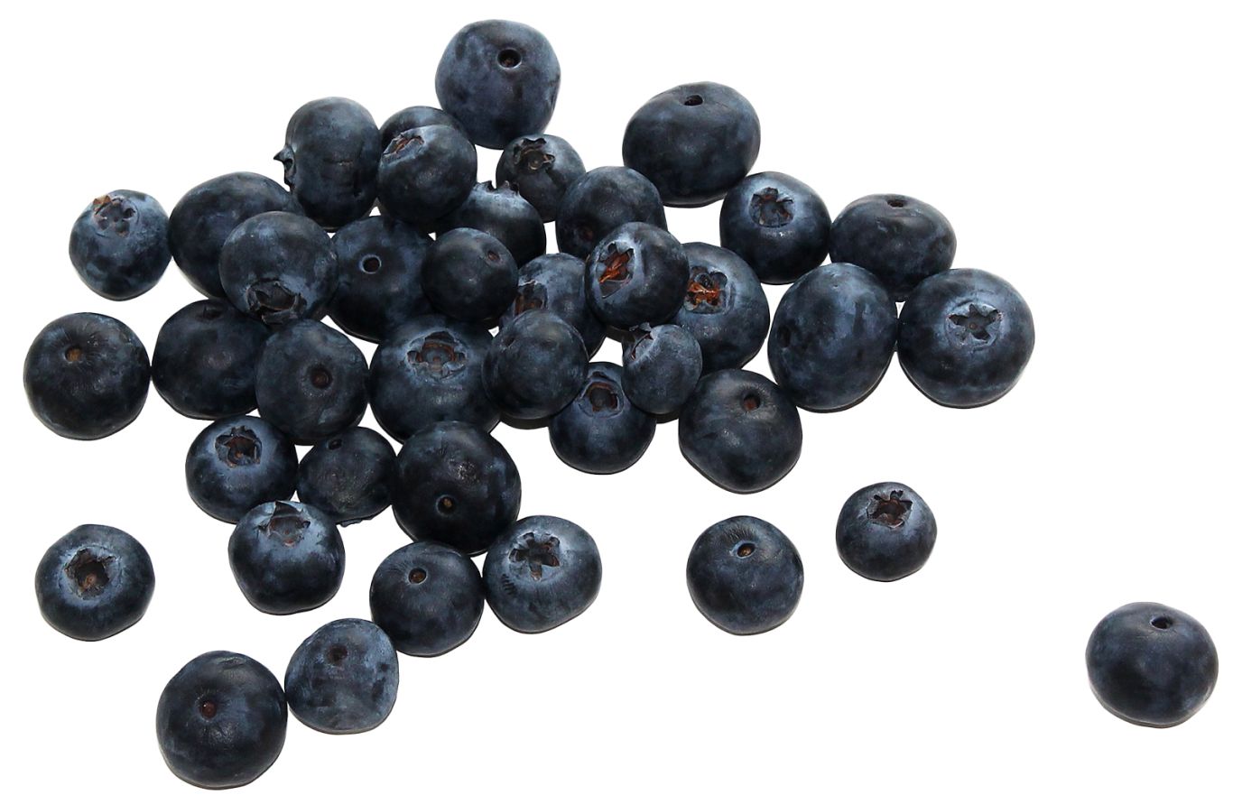 Blueberries PNG    图片编号:26707