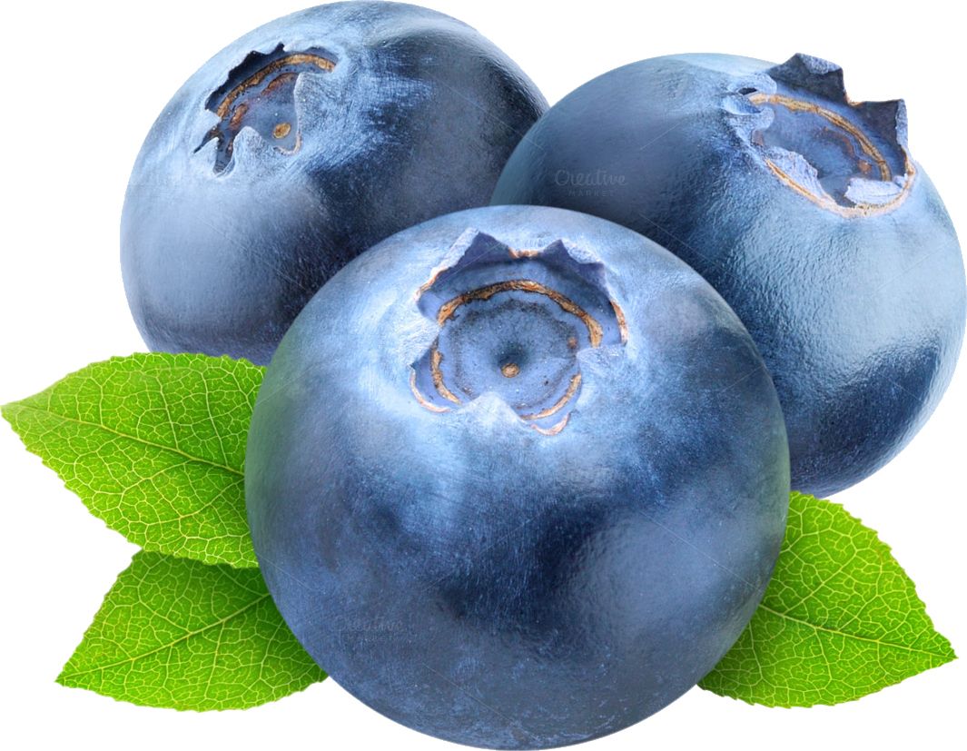 Blueberries PNG    图片编号:26708