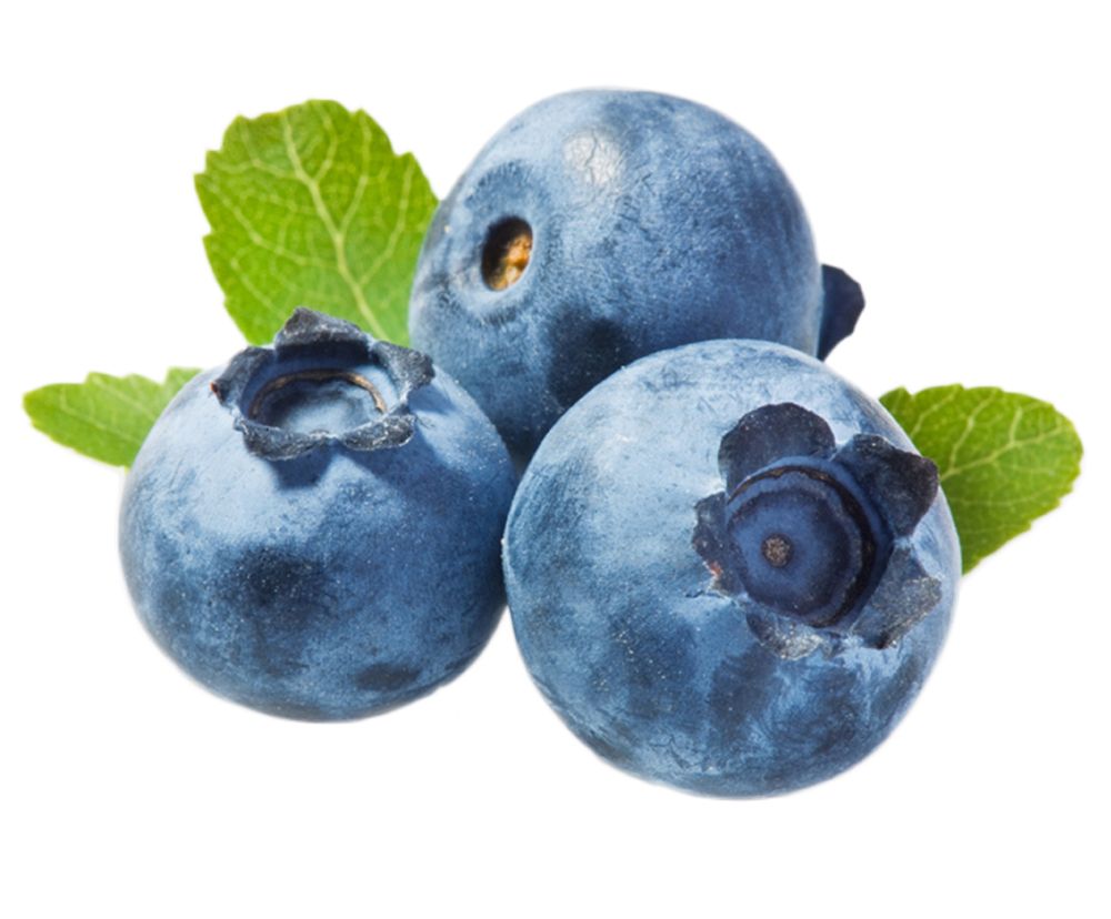 Blueberries PNG    图片编号:26711
