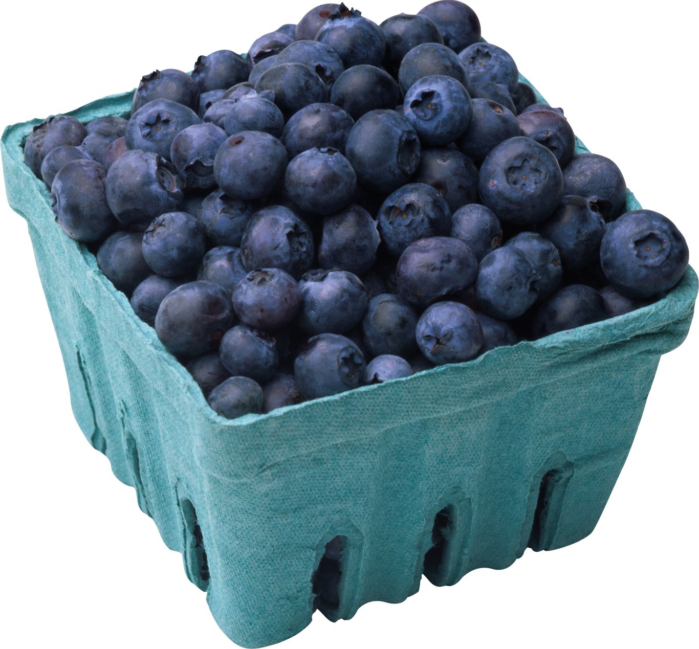 Blueberries PNG    图片编号:26676