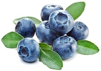 Blueberries PNG    图片编号:26718