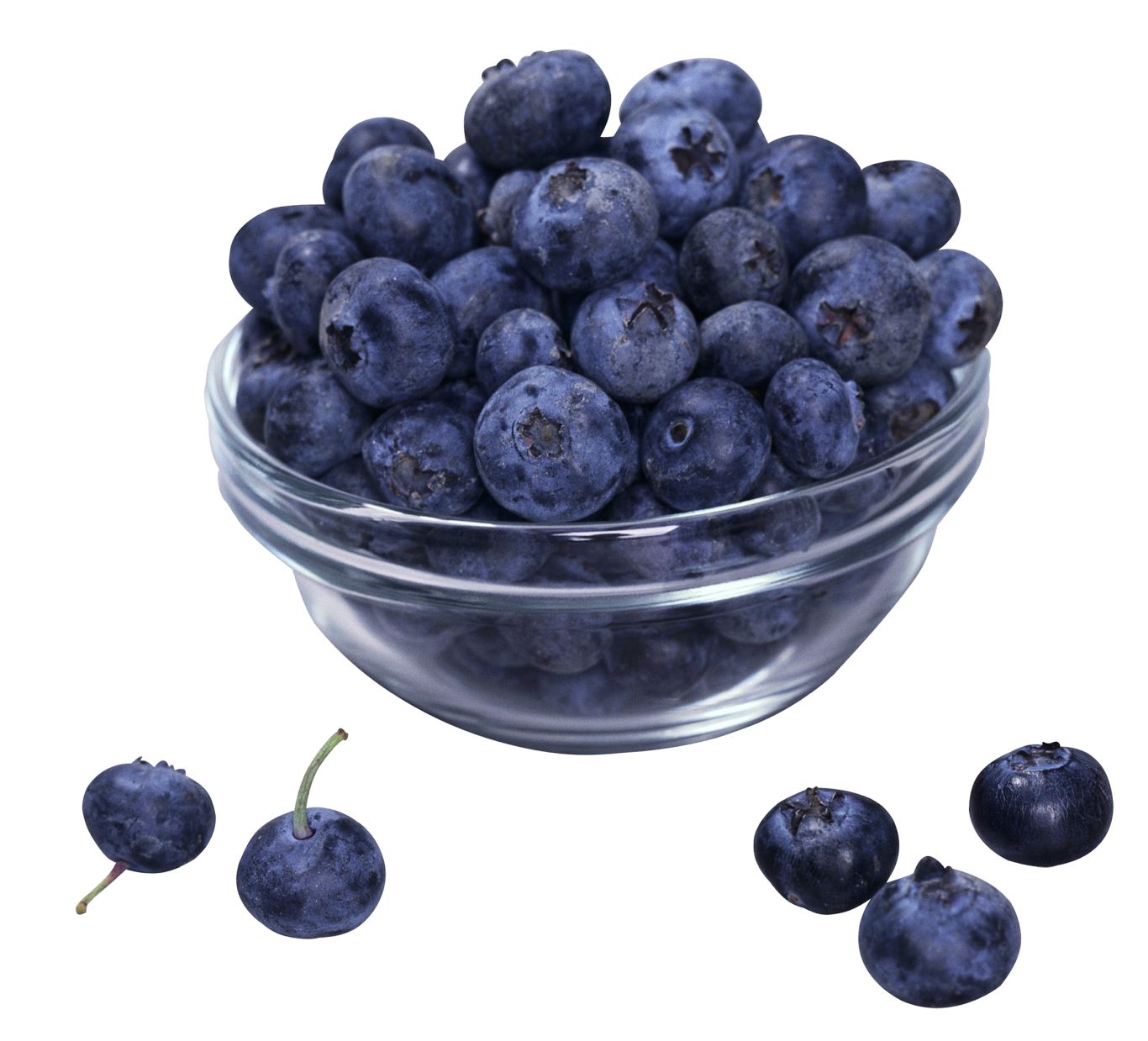 Blueberries PNG    图片编号:26677