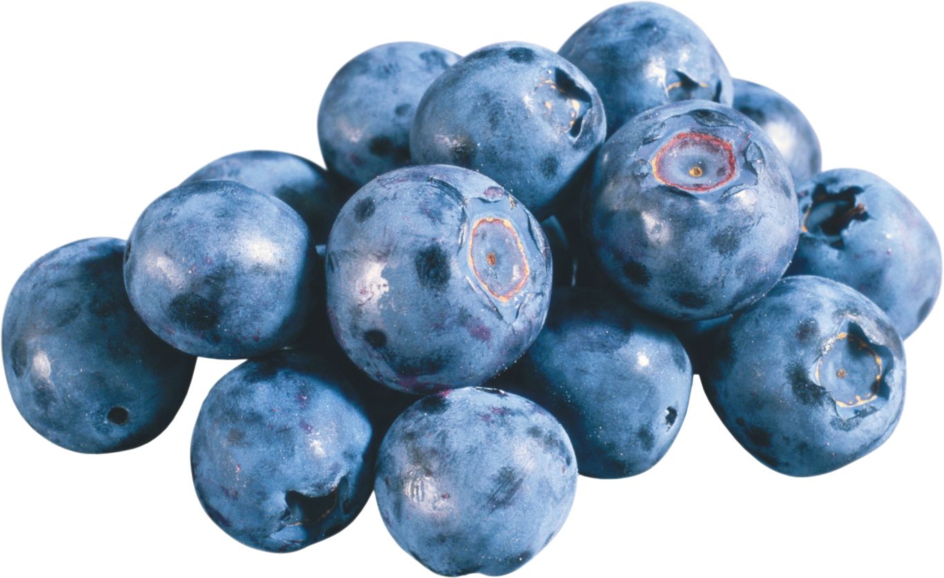 Blueberries PNG    图片编号:26725