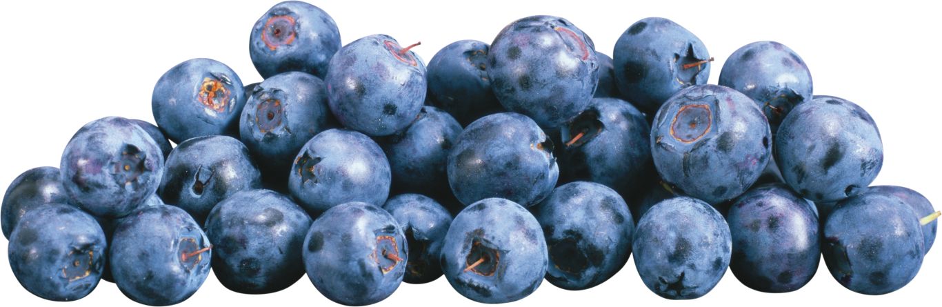 Blueberries PNG    图片编号:26726