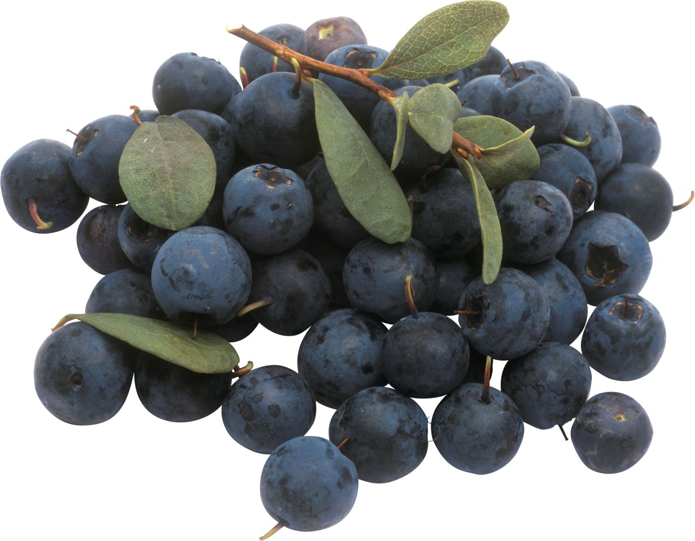 Blueberries PNG    图片编号:26729