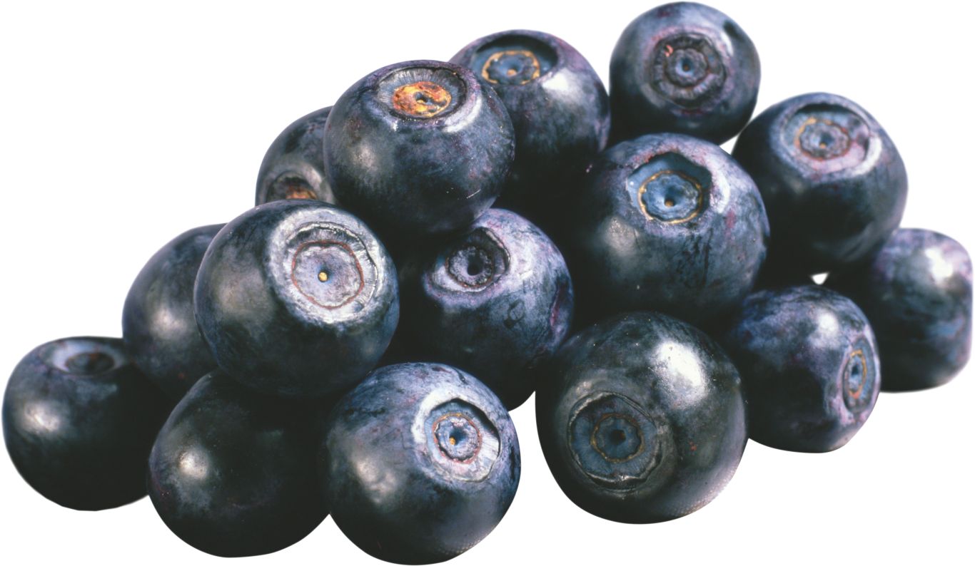 Blueberries PNG    图片编号:26733