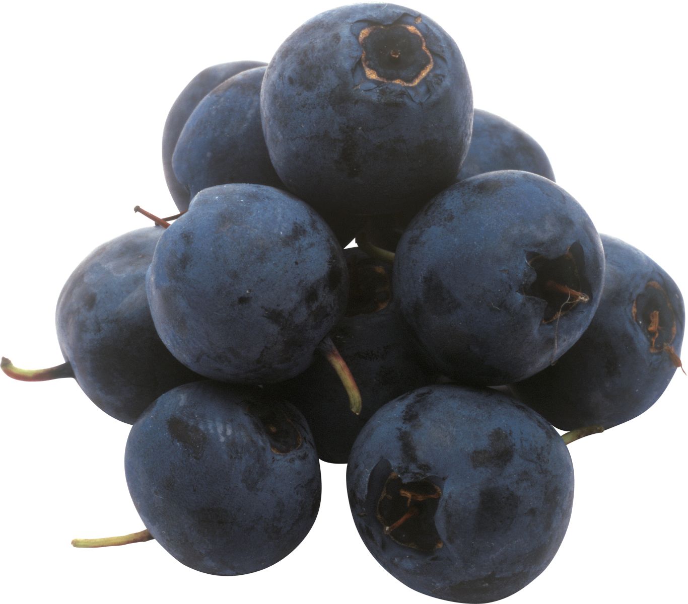 Blueberries PNG    图片编号:26735