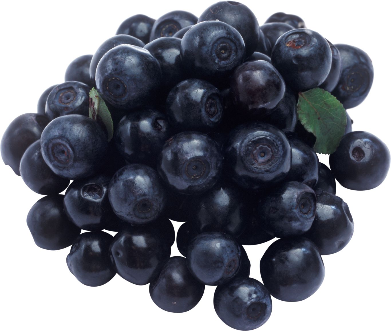 Blueberries PNG    图片编号:26736