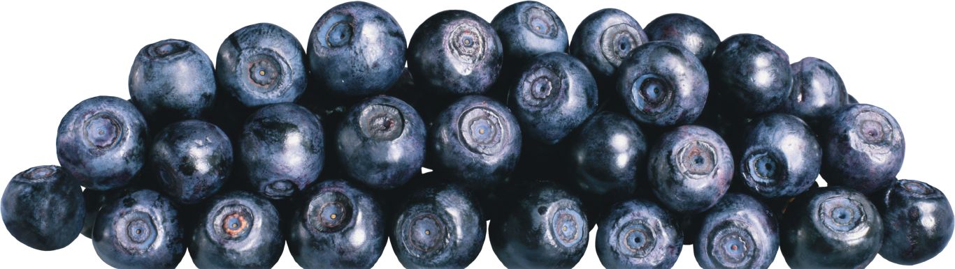 Blueberries PNG    图片编号:26739