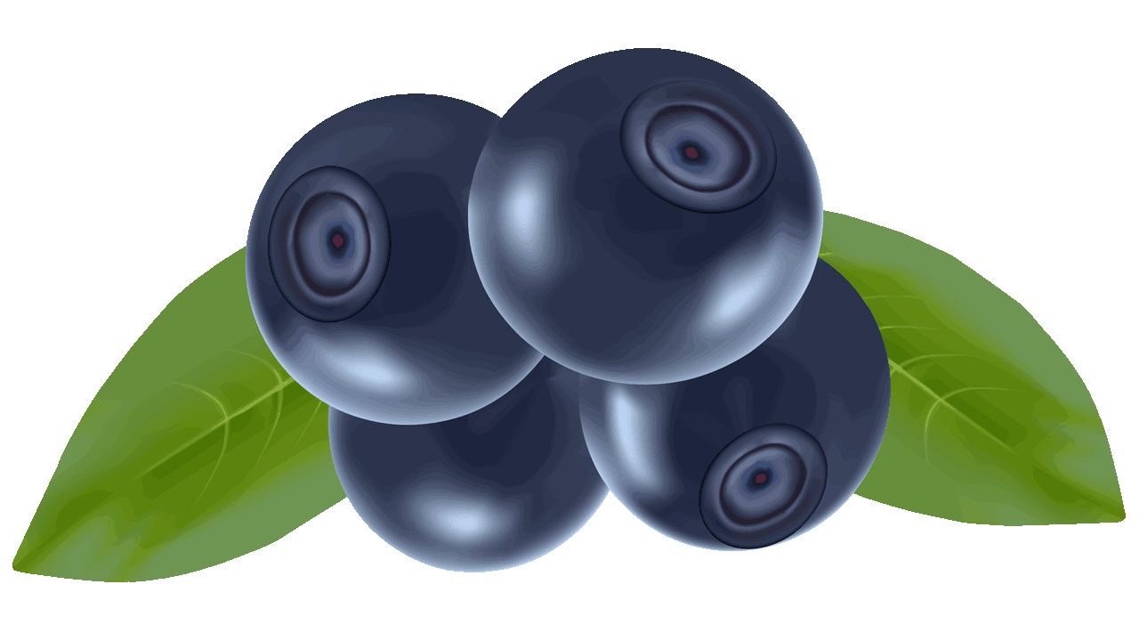 Blueberries PNG    图片编号:26740